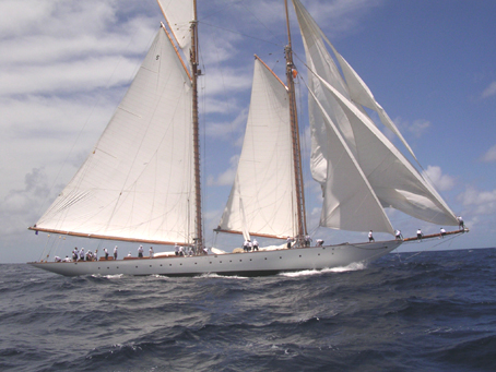 Eleanora